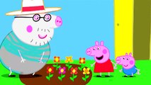 Peppa Pig Flowers Coloring Pages Peppa Pig Coloring Book