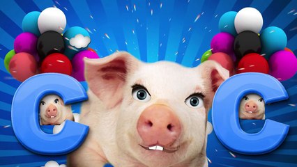 ABC песней на английском языке