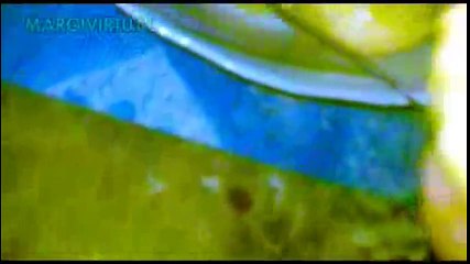 INDONESIAN RECIPES_CULINARY#9_Cara Membuat Kue Nangka Goreng Resep Masakan Indonesia