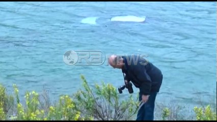 Ora News - Vau i Dejës, shikoni ku përfundoi makina. Shoferja me fat