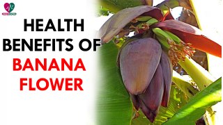 Health Benefits of Banana Flower- health Sutra