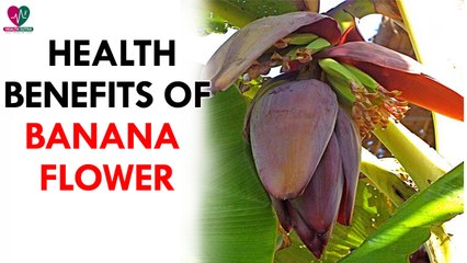 Health Benefits of Banana Flower- health Sutra