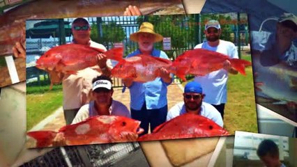 Orange Beach Charter Fishing