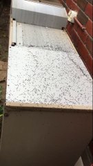 Ants love a nice warm place to hide from the winter, inside this Brivis buffalo in Mt Waverley