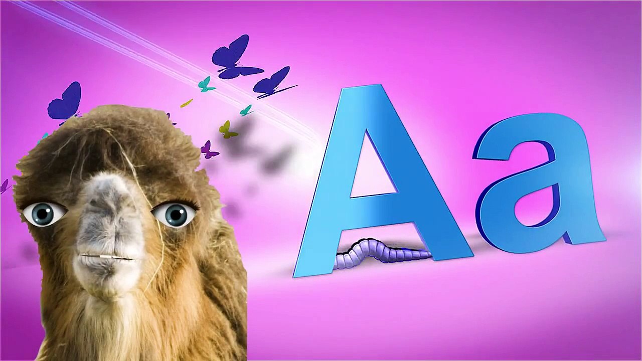 Alphabet Song Camel