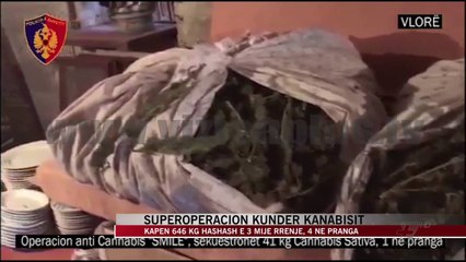 Superoperacion kundër kanabisit  - News, Lajme - Vizion Plus