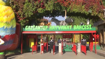 Minik Şempanze "Can"A Özel Bakım