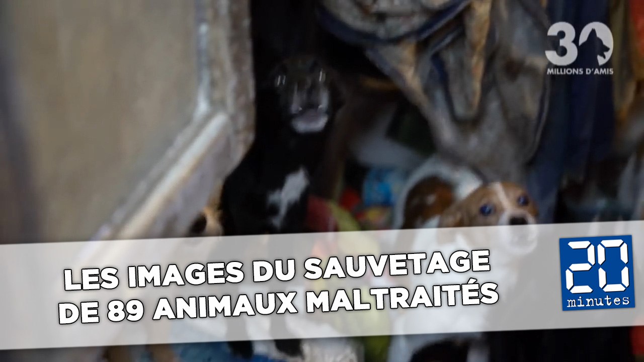 Les images terribles du sauvetage de 89 animaux maltraités