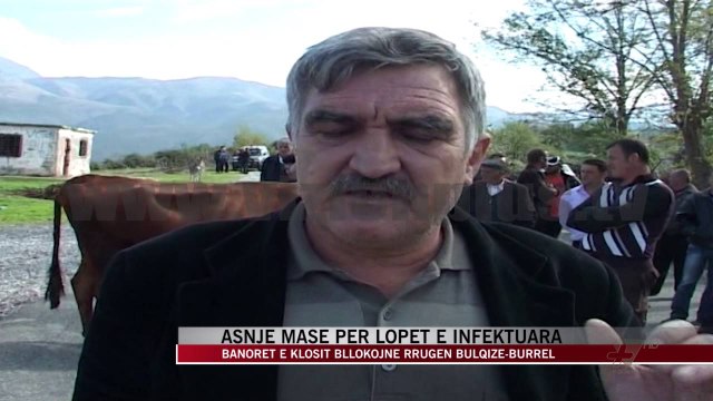 Asnjë masë për lopët e infektuara - News, Lajme - Vizion Plus