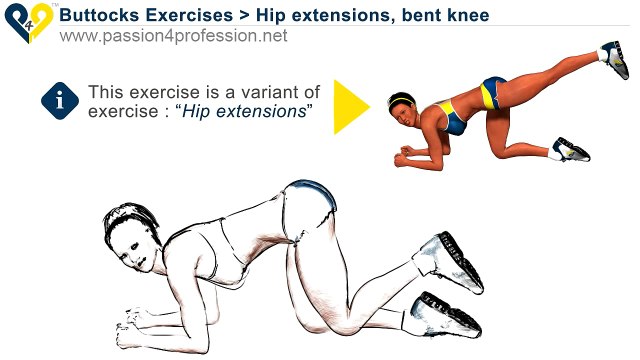 Hip & Buttocks exercise - HIP flexor - thigh exercise for woman Hip extensions, bent knee