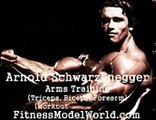 Arnold Schwarzenegger Arms Training