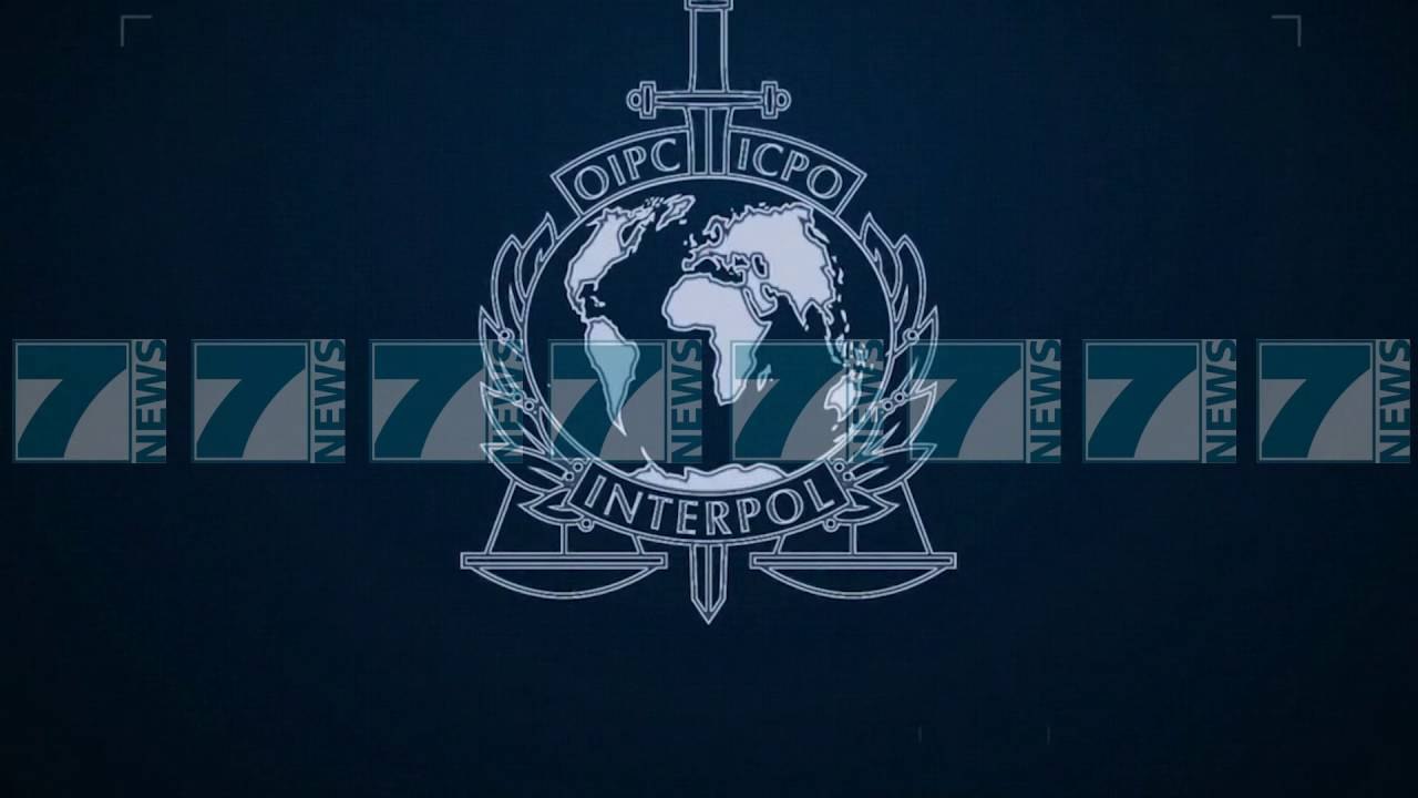 SUPEROPERACIONI «CICONIA ALBA» I EUROPOLIT, KAPEN 2.3 TONE KOKAINE - News, Lajme - Kanali 7