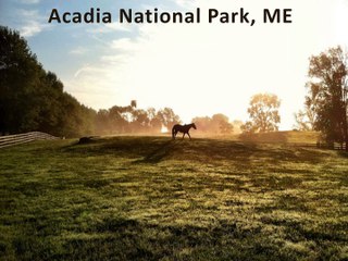 Best Ideas for the Perfect Romantic Fall Getaway