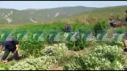 PRANGOSEN 4 PERSONA - News, Lajme - Kanali 18