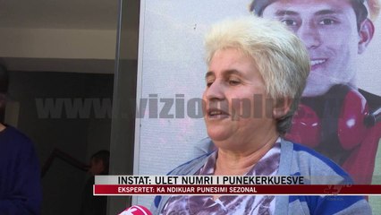 INSTAT: Ulet numri i punëkërkuesve - News, Lajme - Vizion Plus