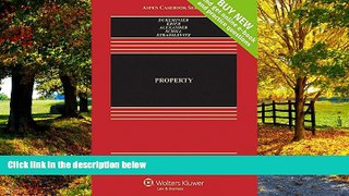 Big Deals  Property [Connected Casebook] (Aspen Casebook)  Best Seller Books Most Wanted
