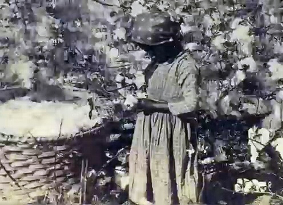 Capitalism Slavery