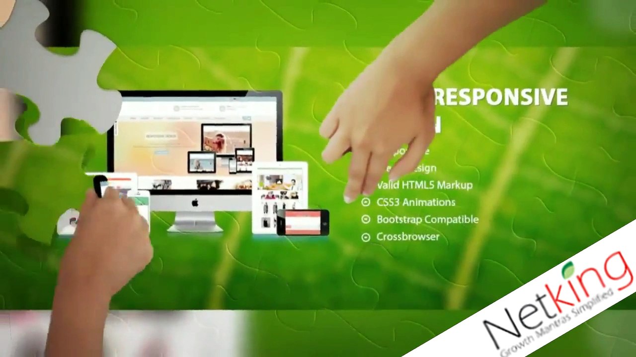 Digital Marketing Services - Netking Web Services Pvt. Ltd.