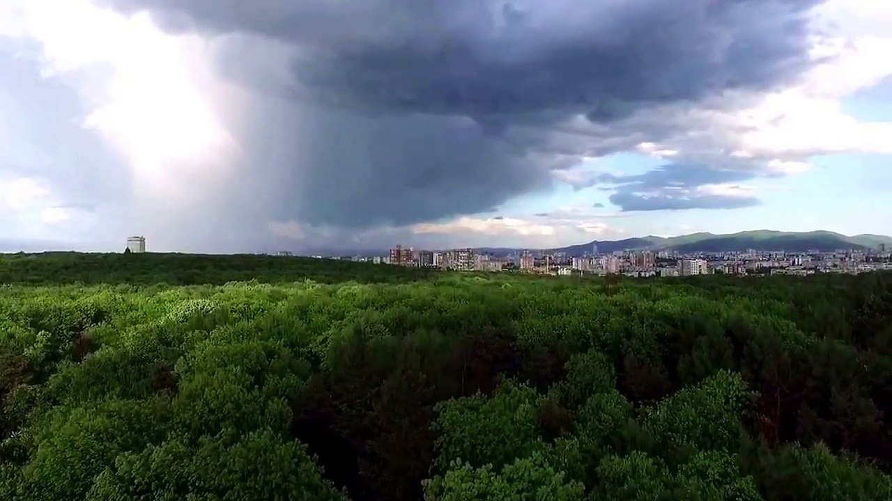 Sofia