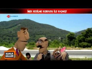 Kuklagiller - Kaçak Kurban