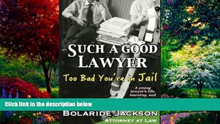 Big Deals  Such a Good Lawyer: Too Bad You re in Jail: A young lawyer s life, learning, and loves,