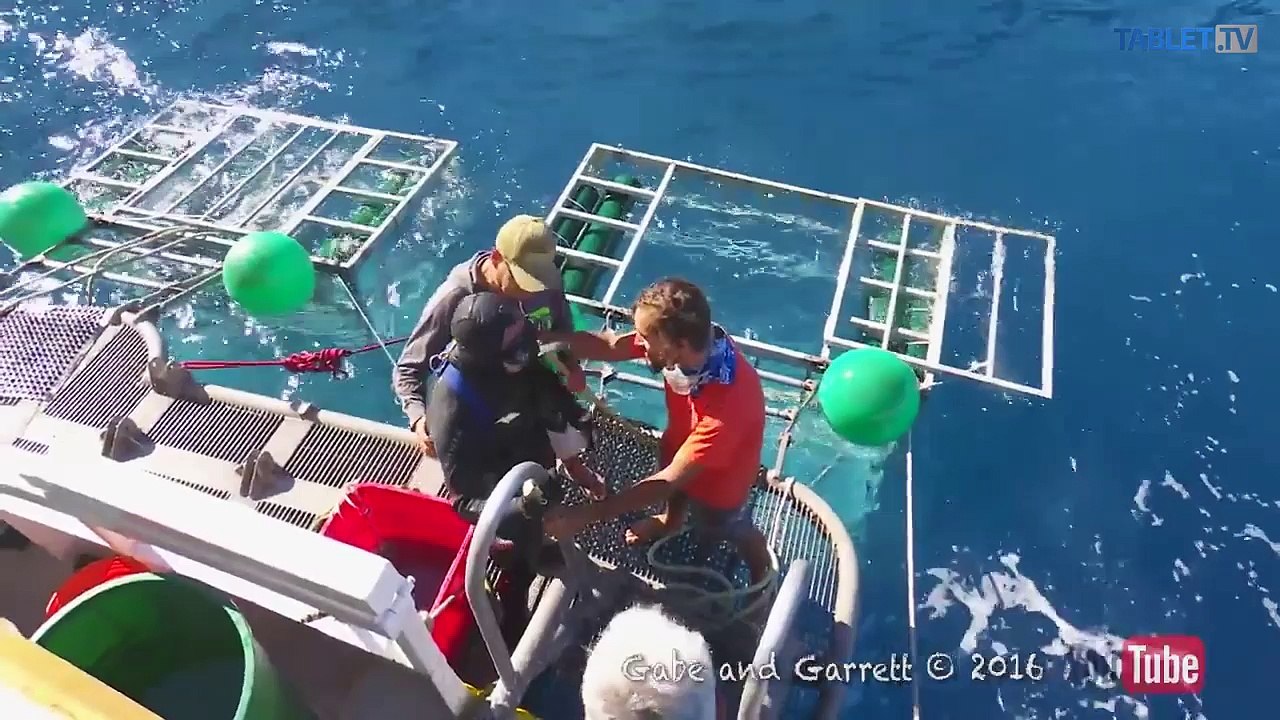 Oslovujú slovenské blogerky firmy? Pozrite si rozhovor s Rebekou Dostálkovou z Fresshion