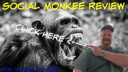 Social Monkee Review