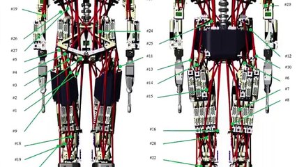 Meet Kengoro, a freaky Japanese robot that sweats to cool off