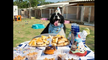 Herança da minha vó - Caju e Castanha