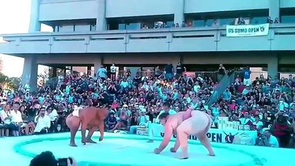 Best sumo wrestling move you'll ever see.