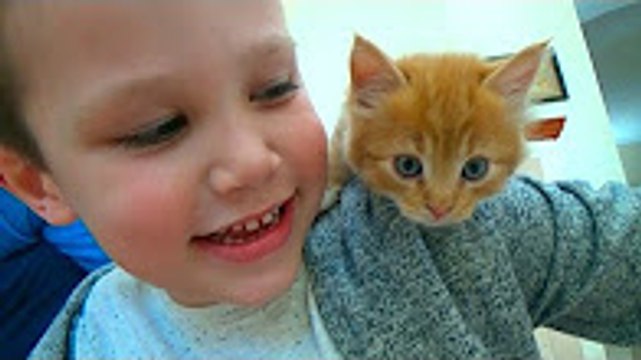 Мистер Макс и Мисс Катя новые серии 2020 Кошечка Мурка покупаем питомца Максу и Кате ВЛОГ на рынке животных Mister Max