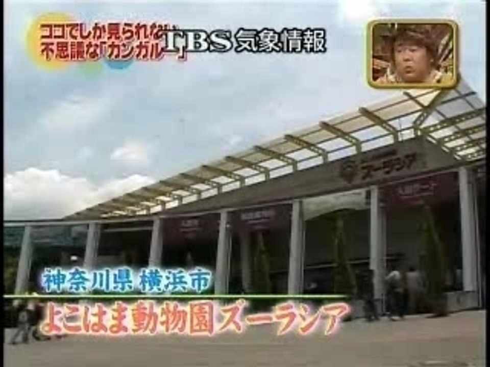 クイズ！日本語王 SP 11