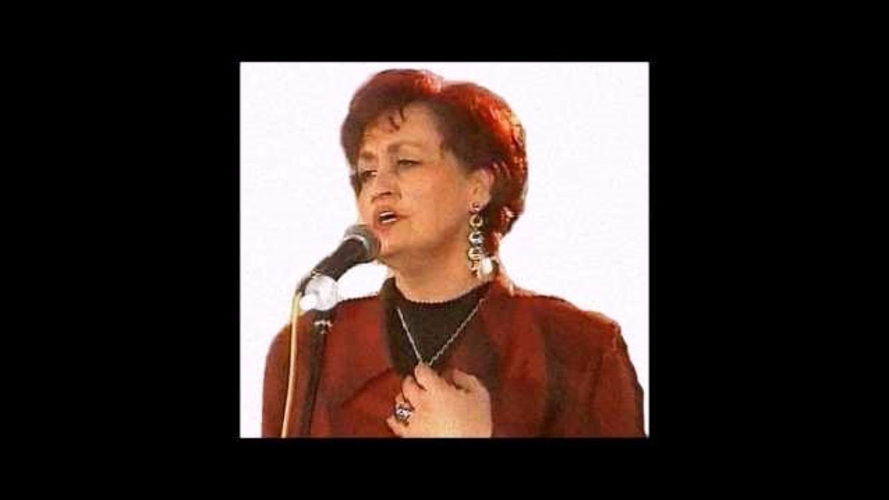 ZEKIJA SUMAN - KAD SARHOŠI IZ MEHANE POĐU