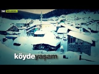 Kış Hikayeleri - 3. Bölüm Fragman - TRT Belgesel