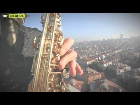 Dünyanın Vahşi Doğası - 1. Bölüm Fragman - TRT Belgesel