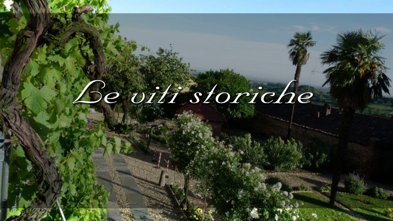 VIDEO GIARDINI
