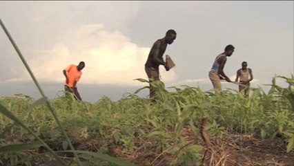 في جنوب السودان.. مزارعون يواجهون خطر الموت