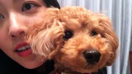 SHOWROOM Matsui Jurina 161024 [www.suki48.net]