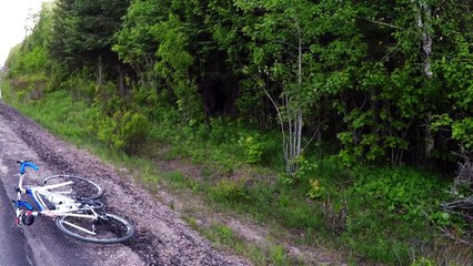 Cyclist stops for selfie with bull moose