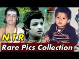 Jr NTR  Unseen Rare Pics Collection || 2016 Latest Telugu Movies || Jr NTR