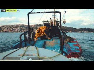 Kıyı Öyküleri - 2. Bölüm Fragman - TRT Belgesel