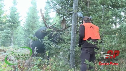 Ce gars va chercher les embrouilles à un orignal  en colère