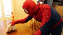 SPIDERMAN Maid Funny Toothbrush in Toilet Prank on Catwoman Superheroes In Real Life IRL
