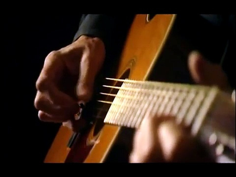 Roger Waters - Brain Damage - acoustic version ✔