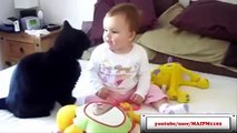 Best Cats Love Babies Compilation 2015 ( HD) - Funniest Cats Videos