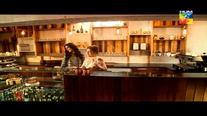 Dil Banjaara Episode 2 Full HD HUM TV Drama 21 October 2016(1)