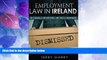 Big Deals  Employment Law In Ireland: The Essentials for Employers, Employees and HR Managers
