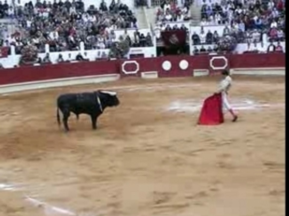 Novillada Saint-Sever 19.08.07 - Toro n°5