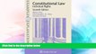 Must Have  Examples   Explanations: Constitutional Law: Individual Rights  READ Ebook Online