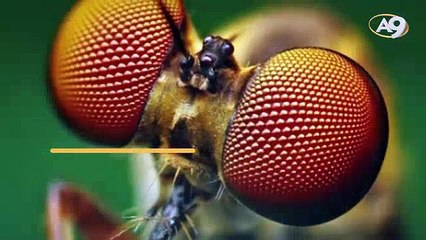 Yörünge -4- Evrendeki Geometrik Düzen